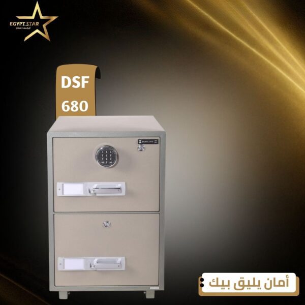 DSF680/2ED