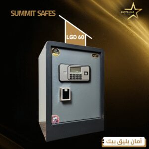 LGD60 LGD60
